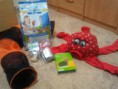 /album/fotogaleria/img-20120601-170727-jpg/