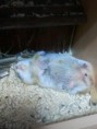 /album/fotogaleria/img-20120730-205509-jpg/