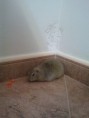 /album/fotogaleria/img-20120717-110137-jpg/