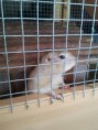 /album/fotogaleria/img-20120721-173437-jpg/