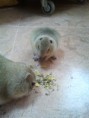 /album/fotogaleria/img-20120727-132337-jpg/